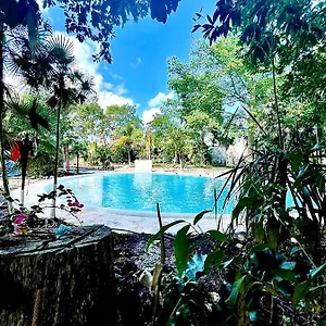 Tequila Cancun **** Alfredo V. Bonfil